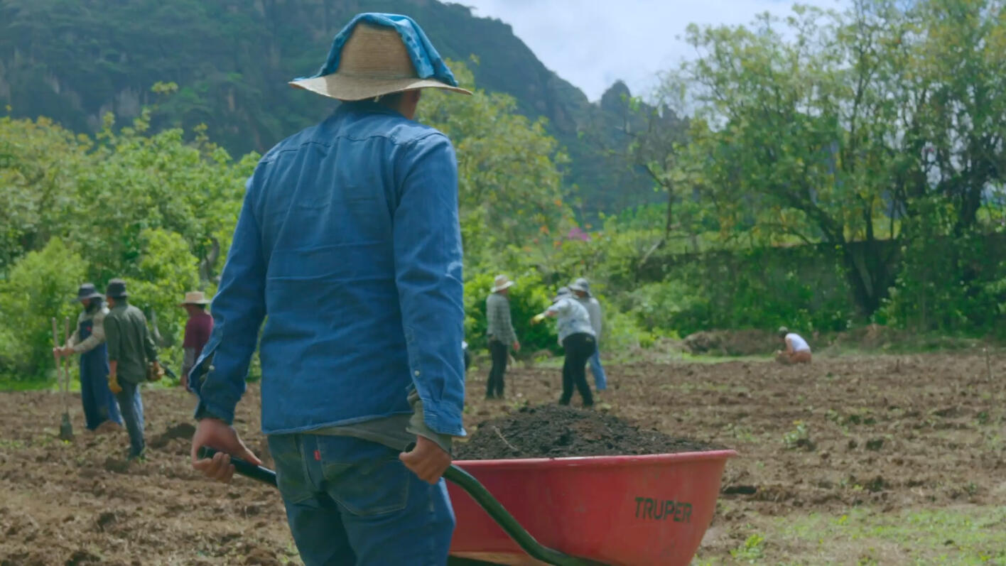SOLAR - CENTRO AGROECOLOGICO